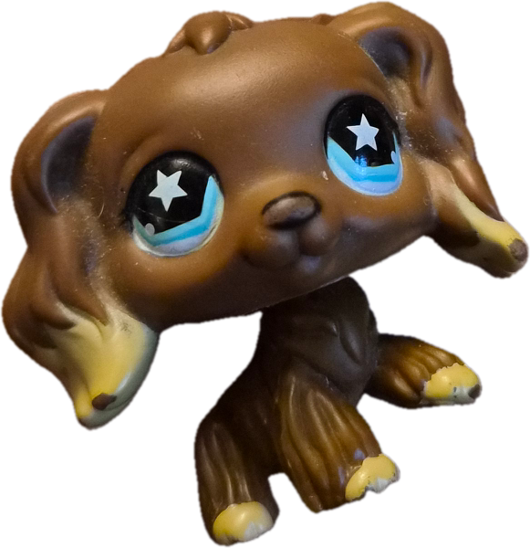 brown lps dog w cunty yellow tips